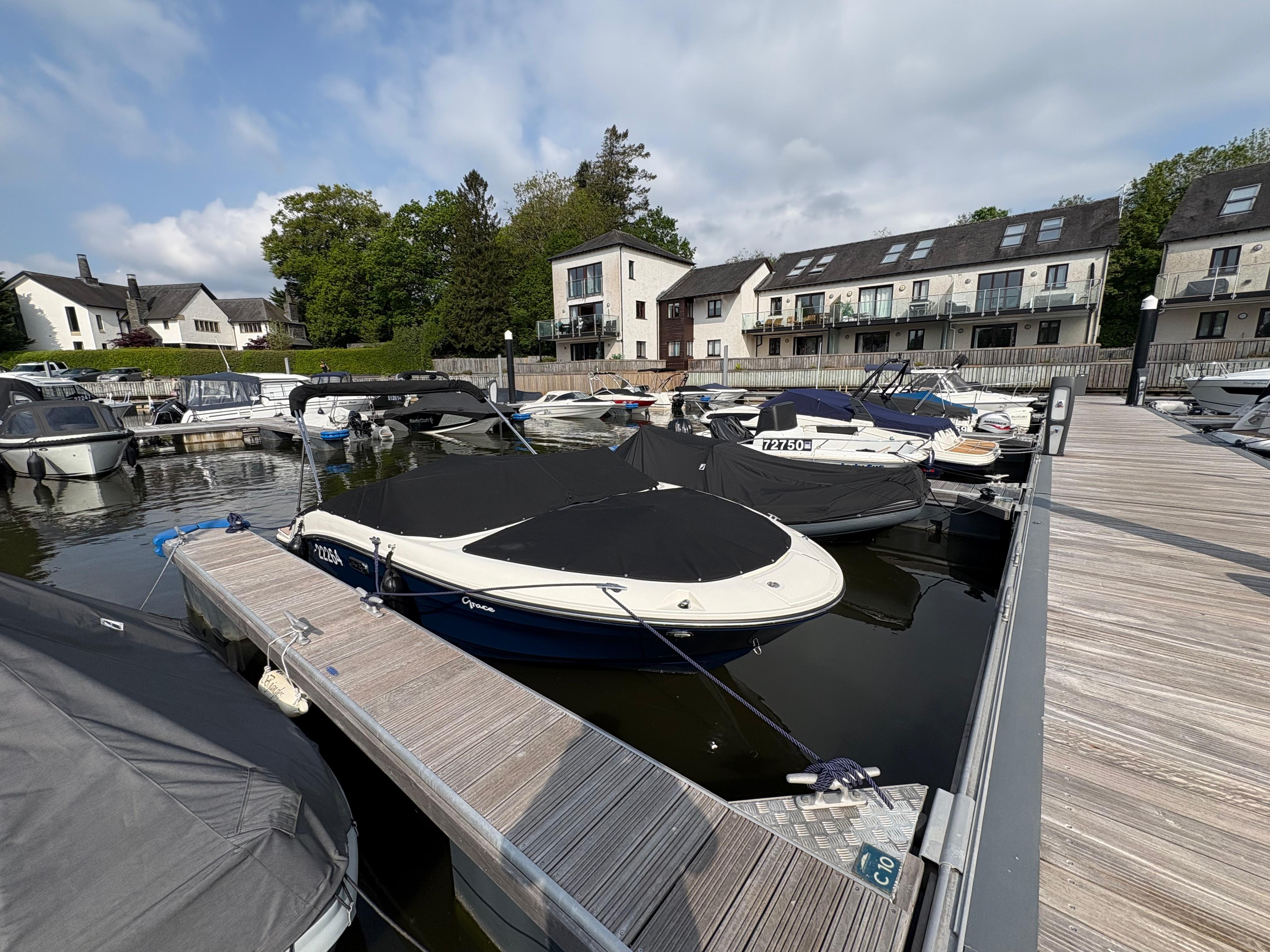 2024 Sea Ray SPX 190 image 2