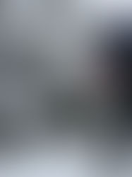 A snowy Triton in Provence...