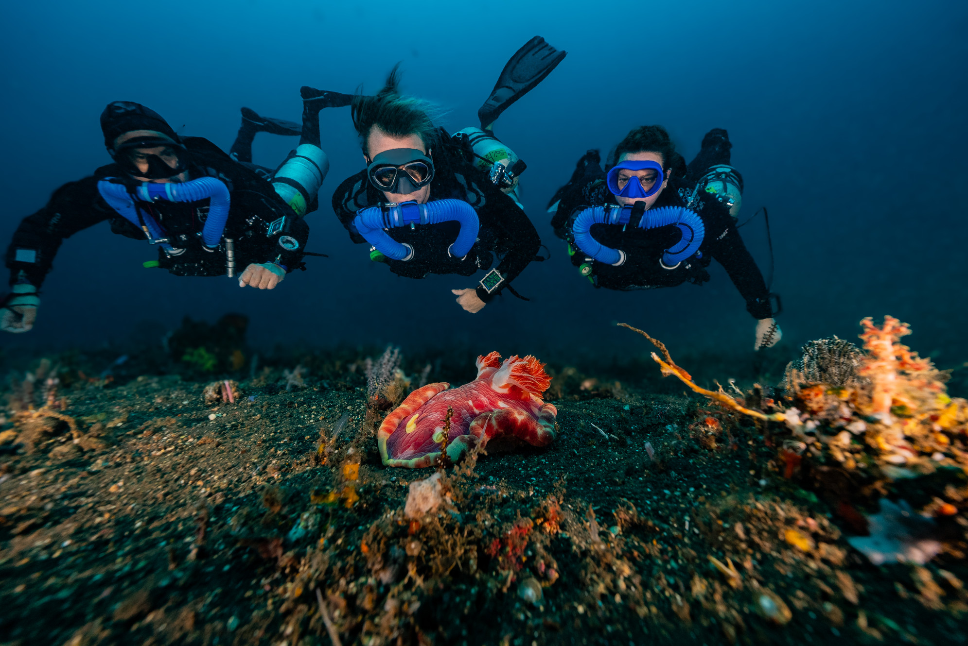 First impressions diving a chestmount rebreather | Page 2 | ScubaBoard