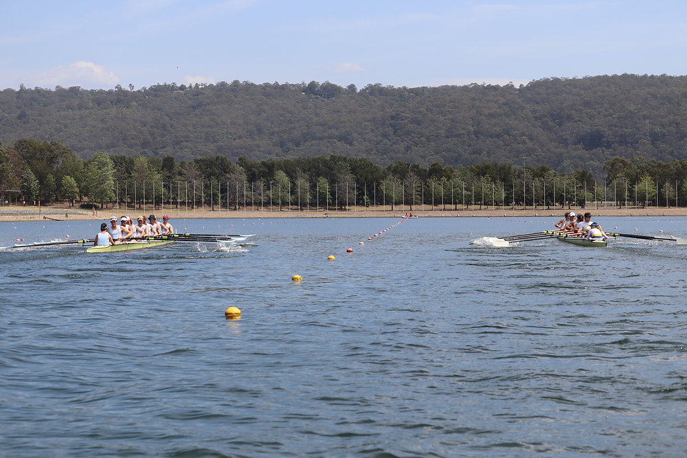 SUBC Spring Regatta Wrap Up