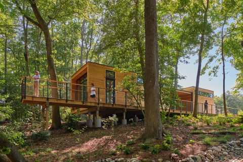 cedar sided modern building in the woods 
