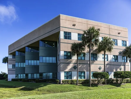 Office Building surrounded by Palm Trees
