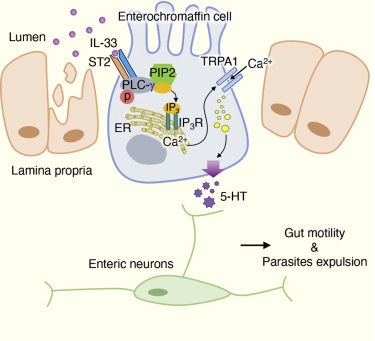 Mutluluğunun Bilimsel Sırrı