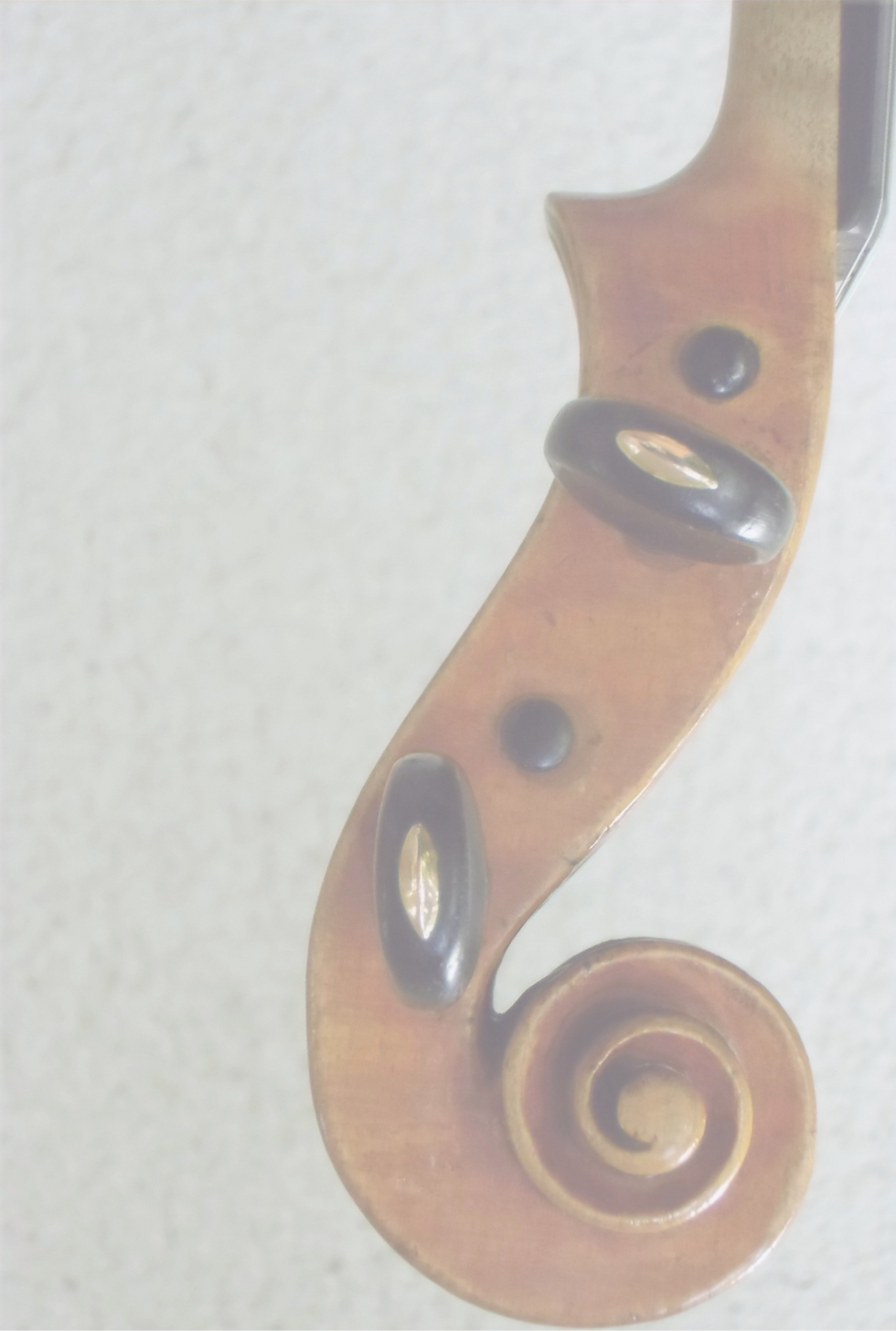 my violin3_edited_edited_edited_edited_edited.png