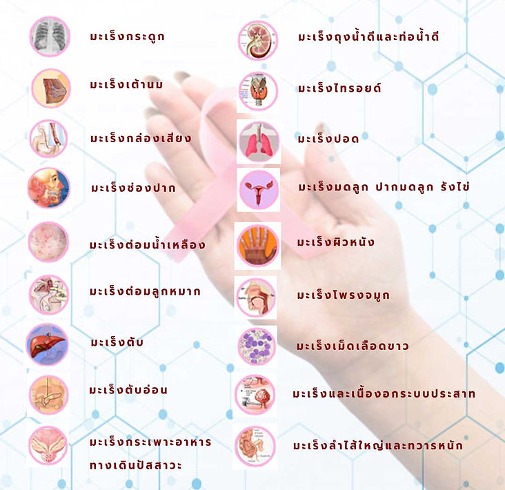 มะเร็งมีกี่ชนิด1.jpg