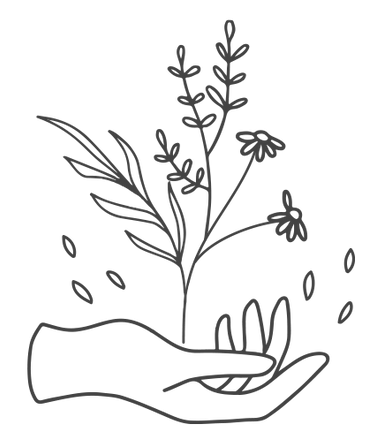 Roots-Family-ChiropracticV4_02_edited.pn