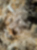 IMG_3053.jpeg