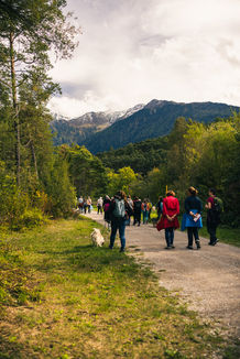 Musikalische Wanderung am Larchsteig in Obsteig: Konzertbilder am Mieminger Plateau mit Geigerin Annette Fritz.