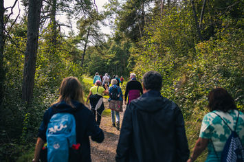 Musikalische Wanderung am Larchsteig in Obsteig: Konzertbilder am Mieminger Plateau mit Geigerin Annette Fritz.