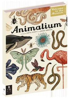 Welcome to the Museum!