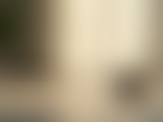 Find Your Center: Primordial Sound Meditation and Ayurvedic Wisdom for a Vibrant Life