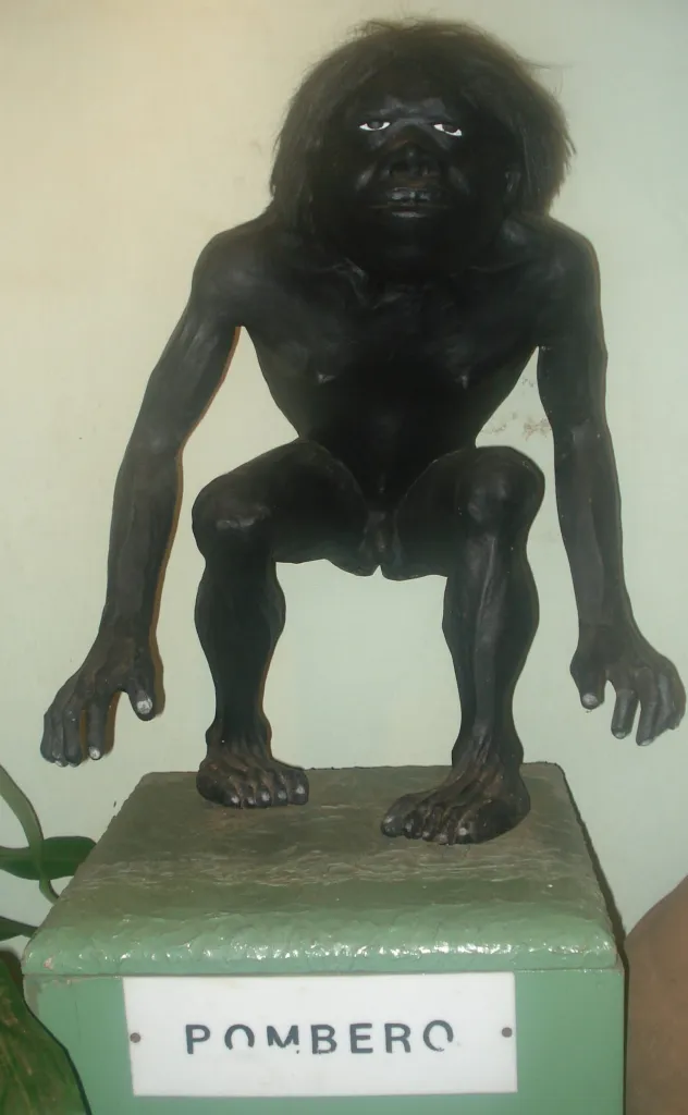El Pombero, a legendary nocturnal forest dweller, is a myth to the Guaraní people. Pragué (hairy feet), Kuarahy Jára (lord of the sun), and Kara Pyhare (lord of the night) are some of the other names for this creature.