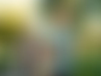 A man and woman jogging happily on a tree-lined path in sunlight. The man wears a blue shirt, the woman a pink jacket. Both are smiling.