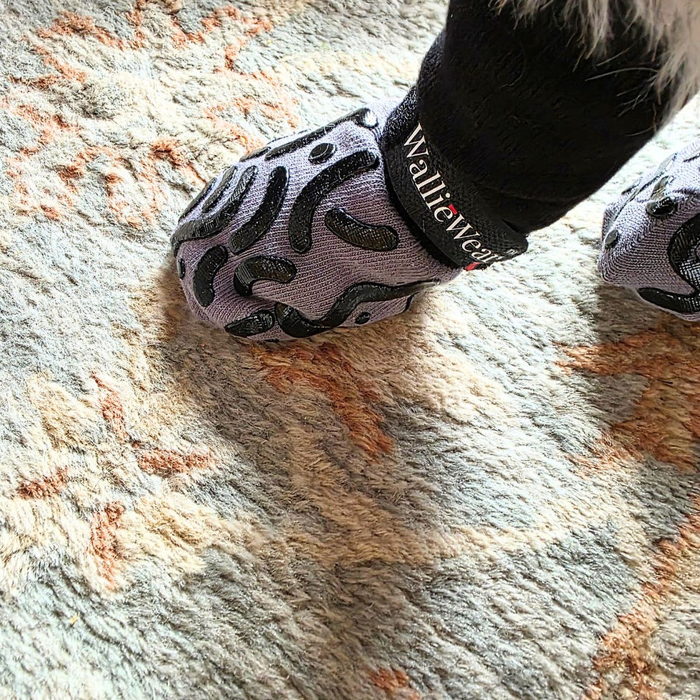 Thumbnail: WallieWear™ Non-Slip Indoor Dog Socks
