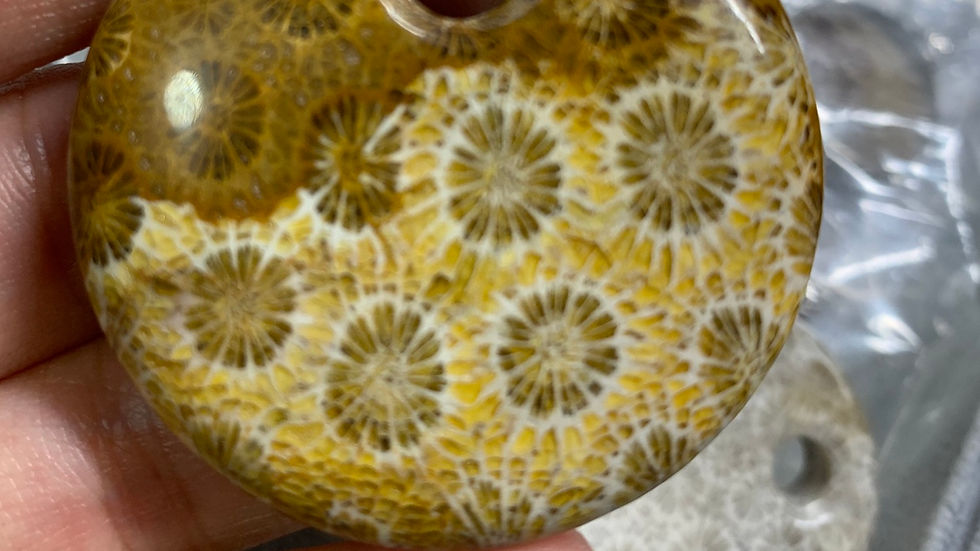 縮圖：菊花石