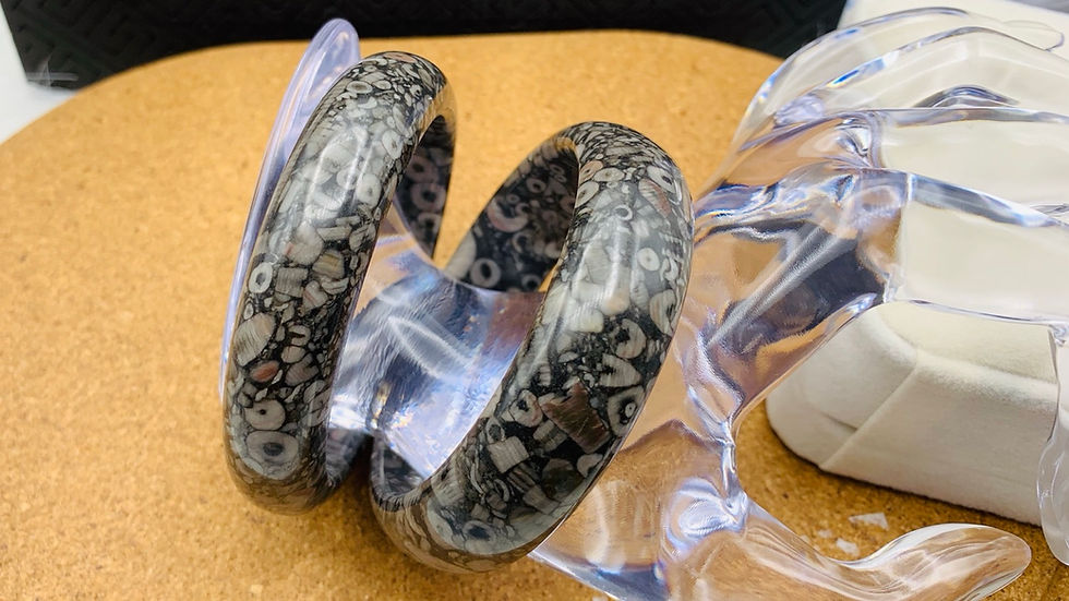 縮圖：古化石 57.5mm
