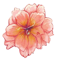 Untitled design (2).png