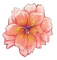 Untitled design (1).png