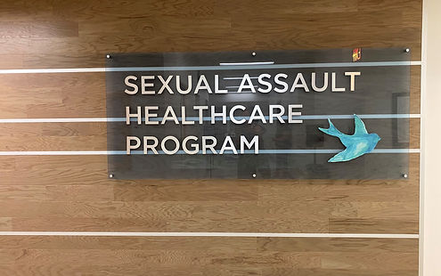 MSU SA Healthcare Program.jpg