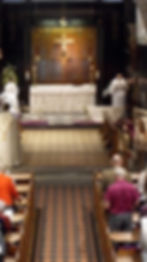 49521B0E-0D83-49BB-9247-F242F8EB7B1E_edited_edited.jpg