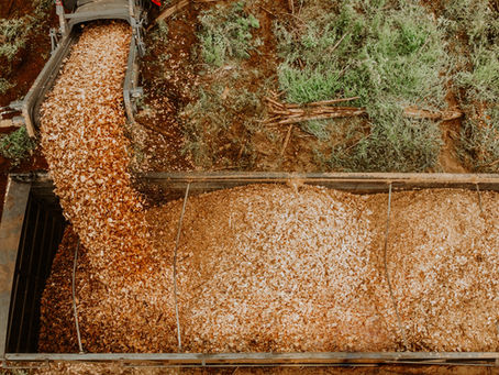 O QUE VOCÊ VÊ NA PRODUÇÃO DE CAVACOS?