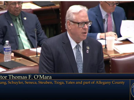 Senator O'Mara on a final state budget over a month late: 'Terrible way to be running government'