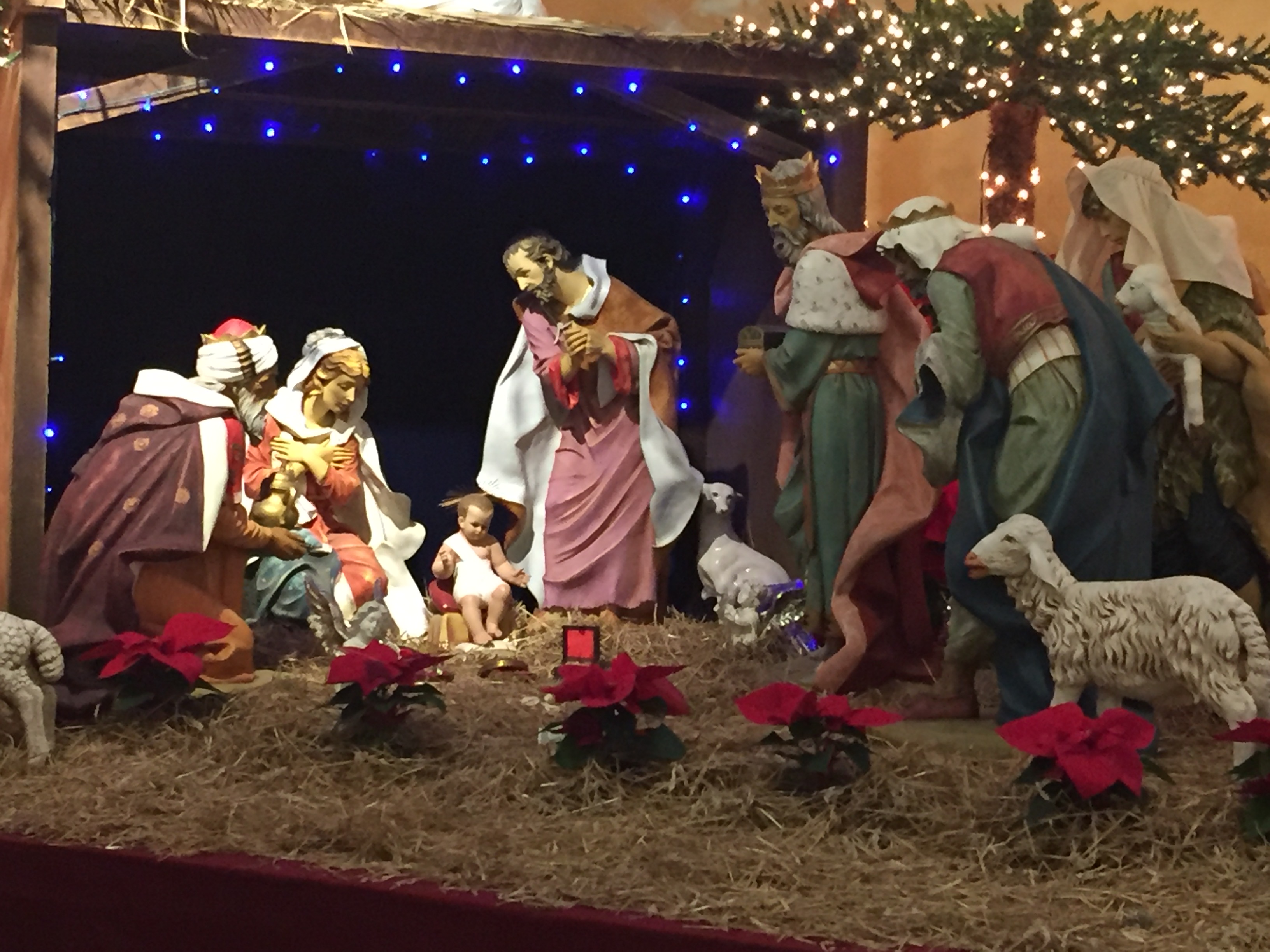SPC Epiphany - 13