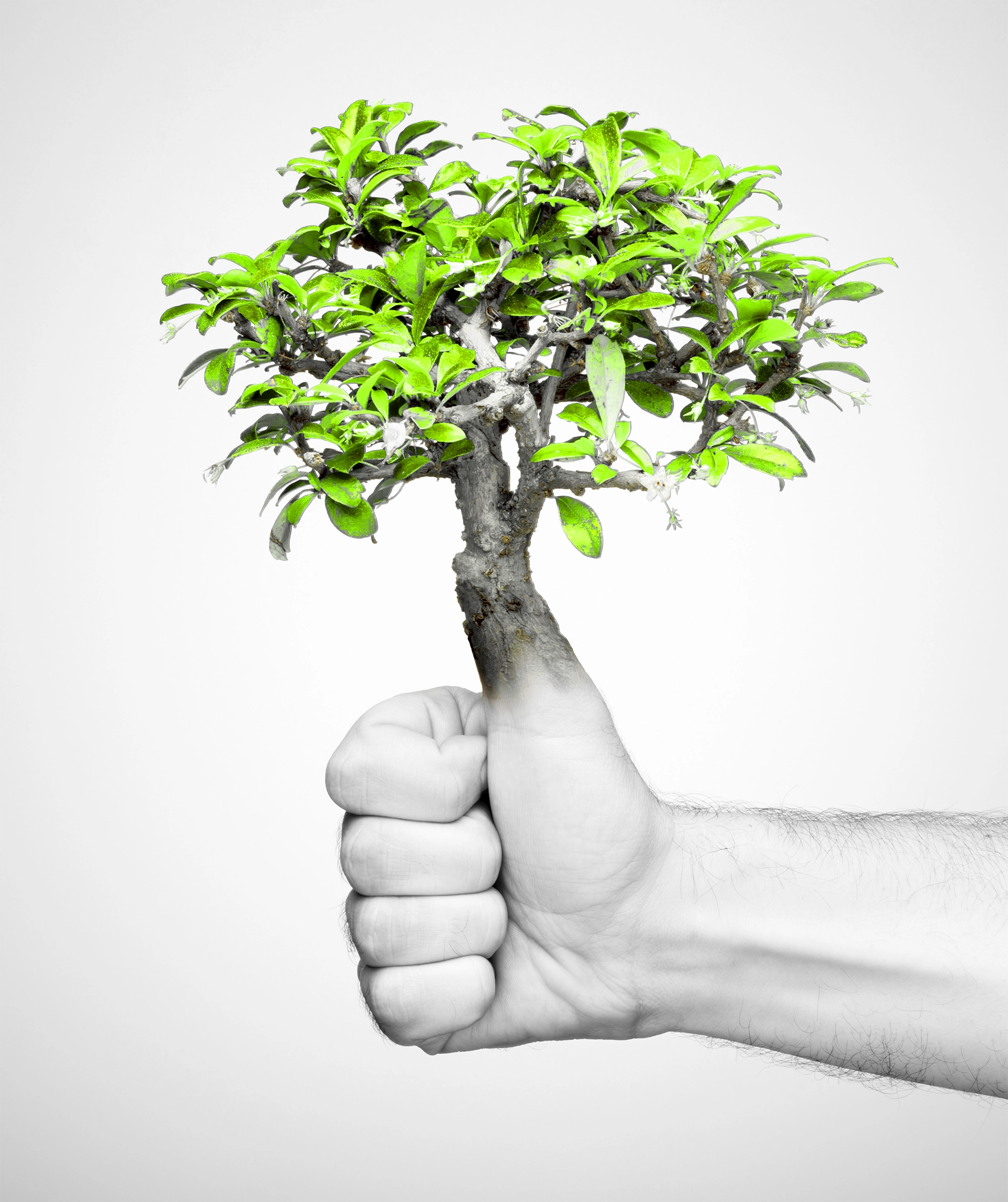 Environment tree growing from thumb 2