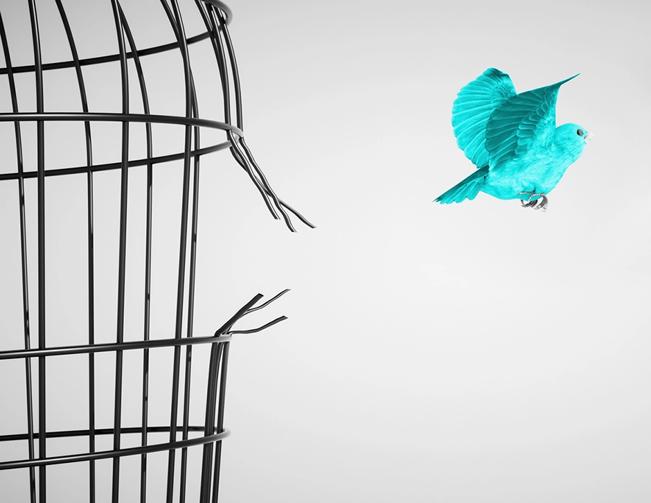 travel policy - free the bird or keep it caged?