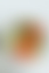 How do I want my health to be?