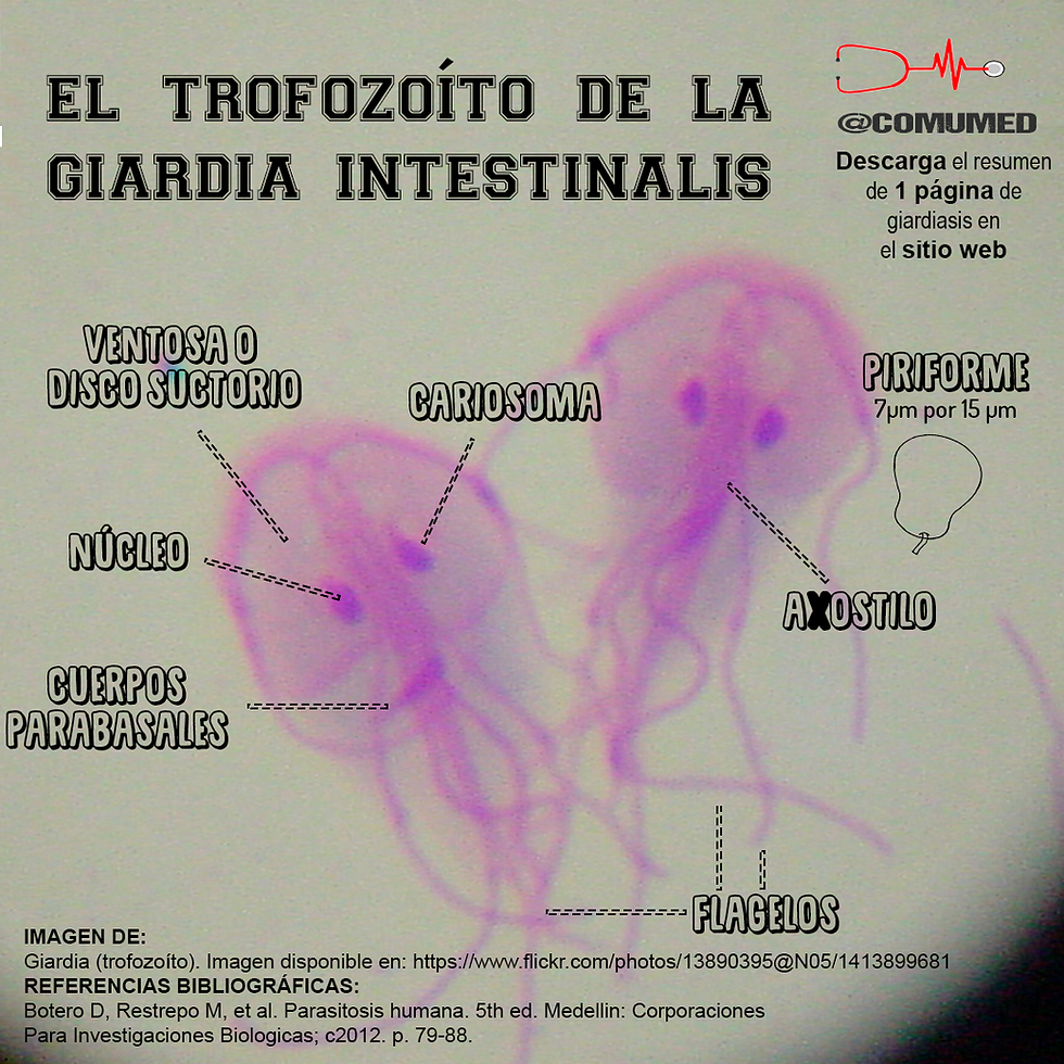 GIARDIASIS