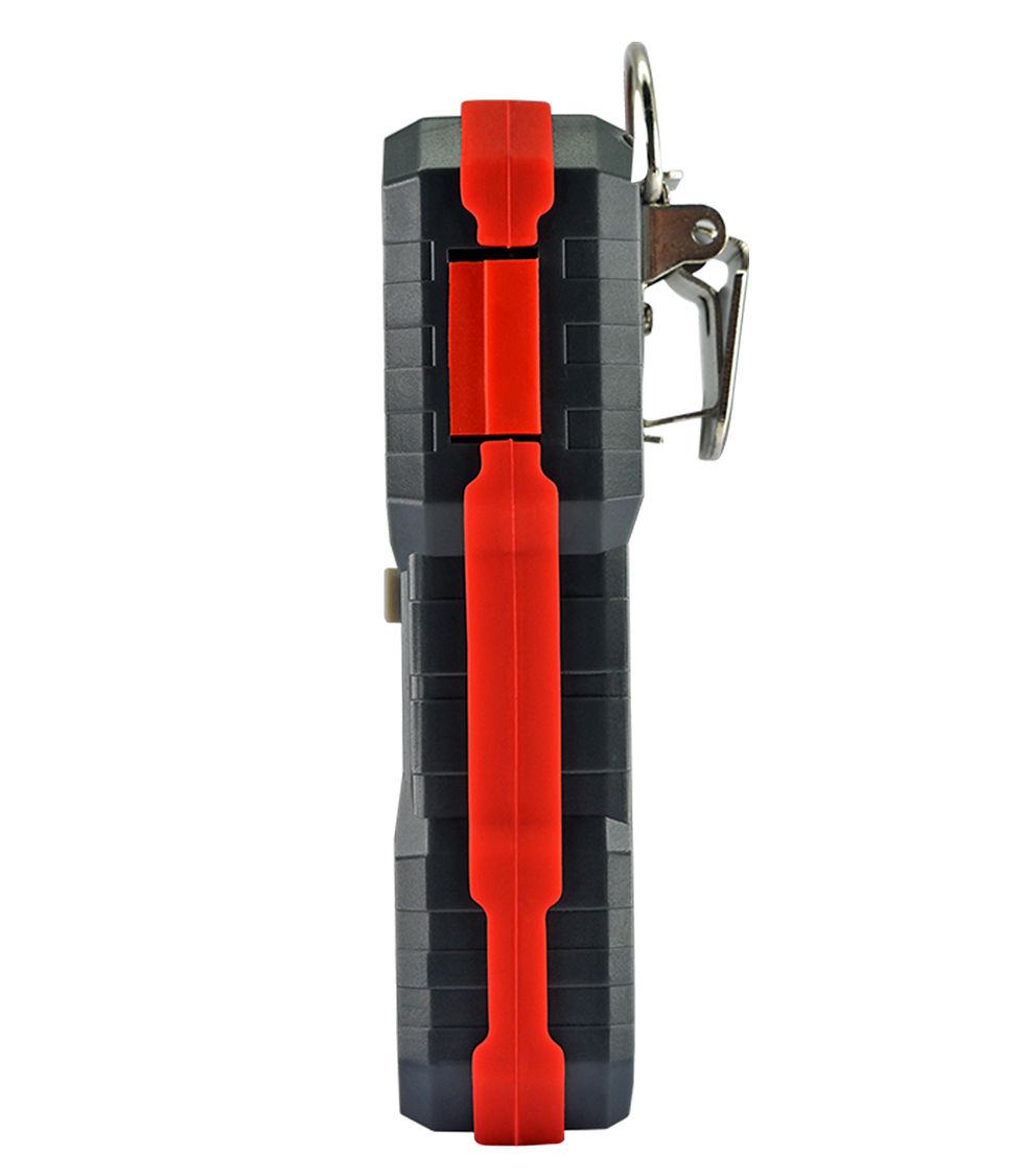 Miniatura: DETECTOR DE GASES: 4 GASES - WT8811