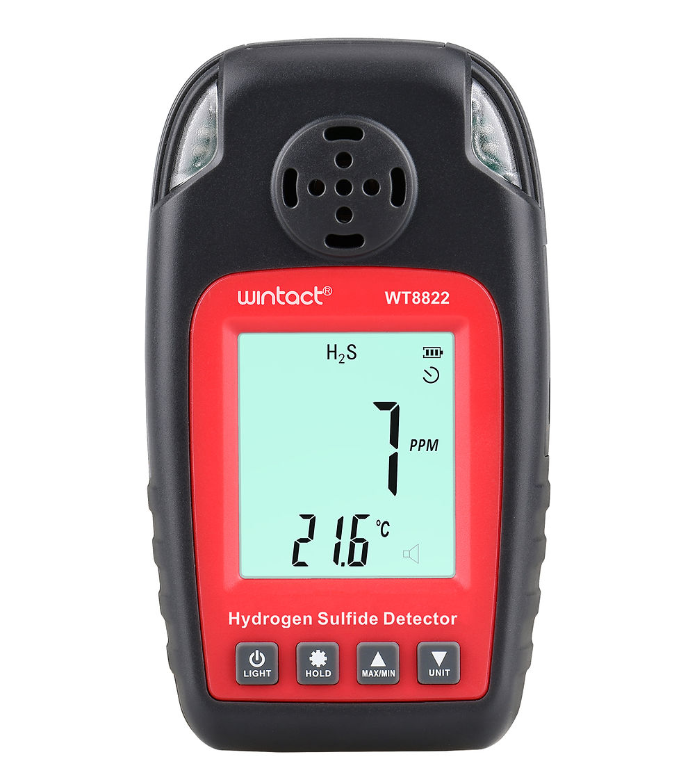 Miniatura: DETECTOR ÁCIDO SULFHÍDRICO (H2S) - WT8822