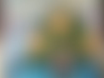 De eerste prijs voor de week van de amateurkunst dalfsen: het land van dalfsen