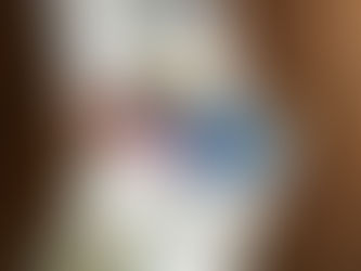 Schilderijen in Nieuwleusen tentoongesteld