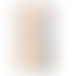 ナイスビレッジ　102号室