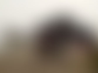 新十津川町土地付 売家