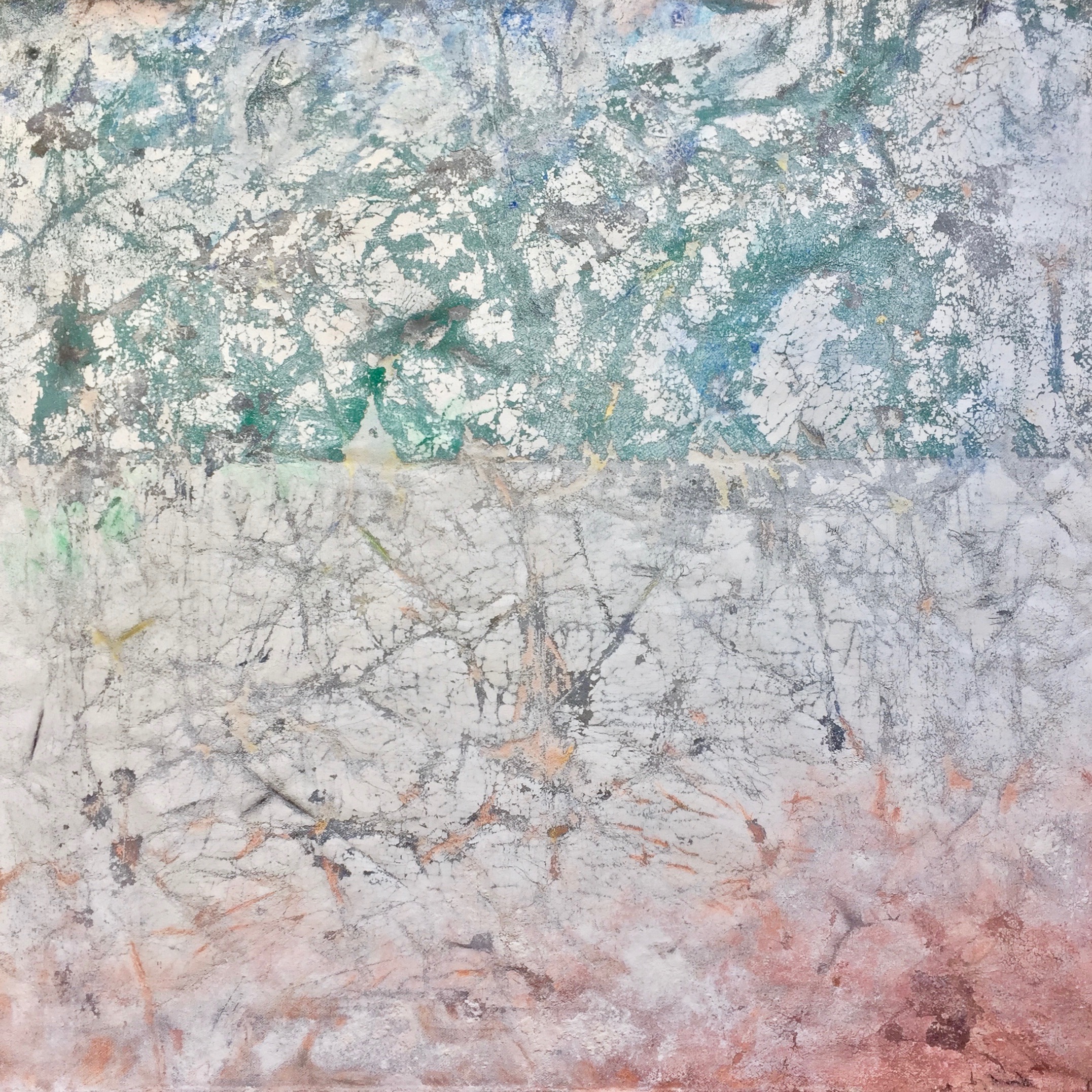 "Satellite Image 1.001"