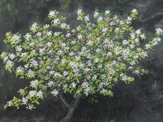 "Bloom where you are"