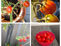Délicieuses, ces tomates cerises 