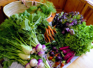 Panier de légumes: les recettes / Gartengmüse Rezepte