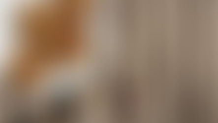 Le STEAK VEGAN maison, un casse-tête enfin résolu! 