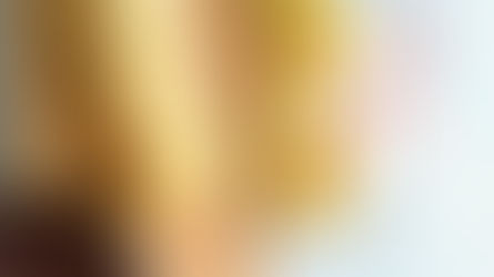 Rôti Wellington vegan