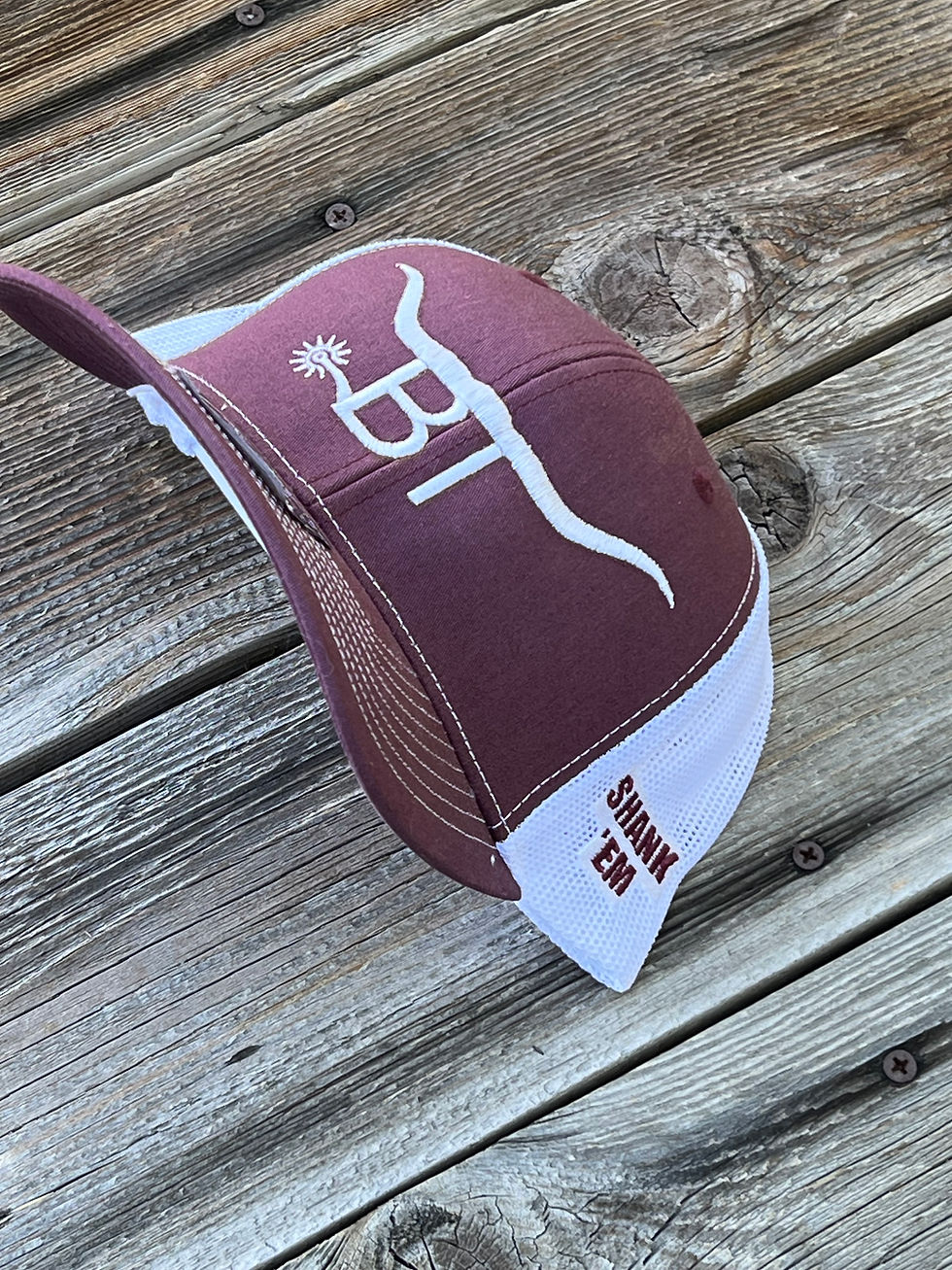 Thumbnail: Snap Hats: BT Horns
