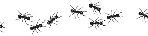 Ants, ants, ants, ants, ants EVERYWHERE!!!!!!!