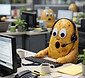 Got Ya Boo the potato pictured working in an open office