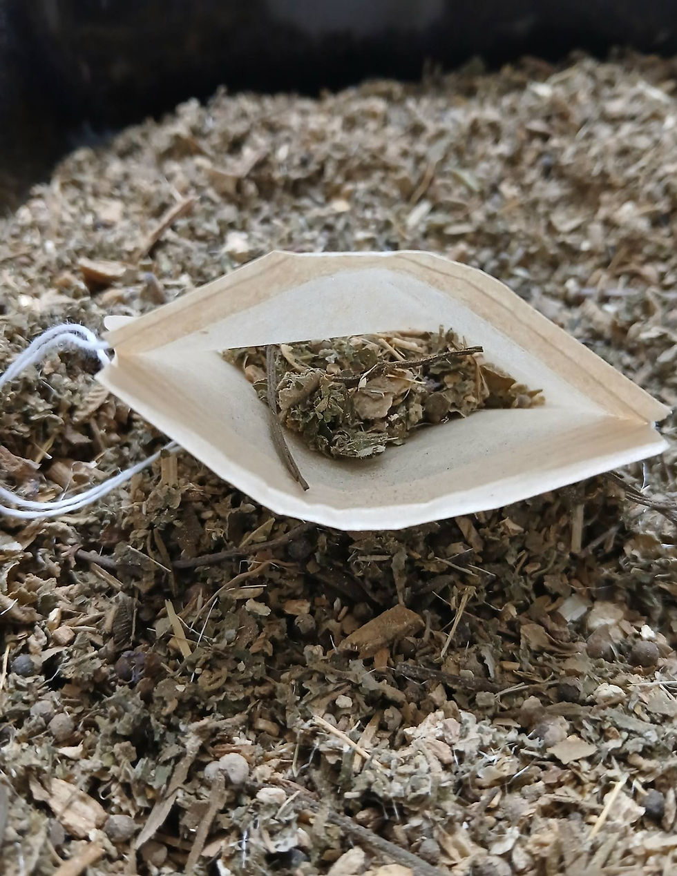 Thumbnail: Endo Pack (Endometriosis Herbal Support)