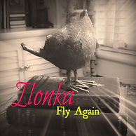Fly Again Cover Ilonka 2016 Final.jpeg