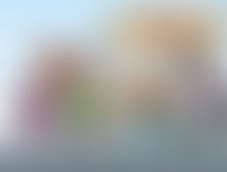 Les effectifs scolaires à Chapareillan