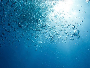 Using Method EPA-821-R-02-013 for Waste Water Treatment Plants in California